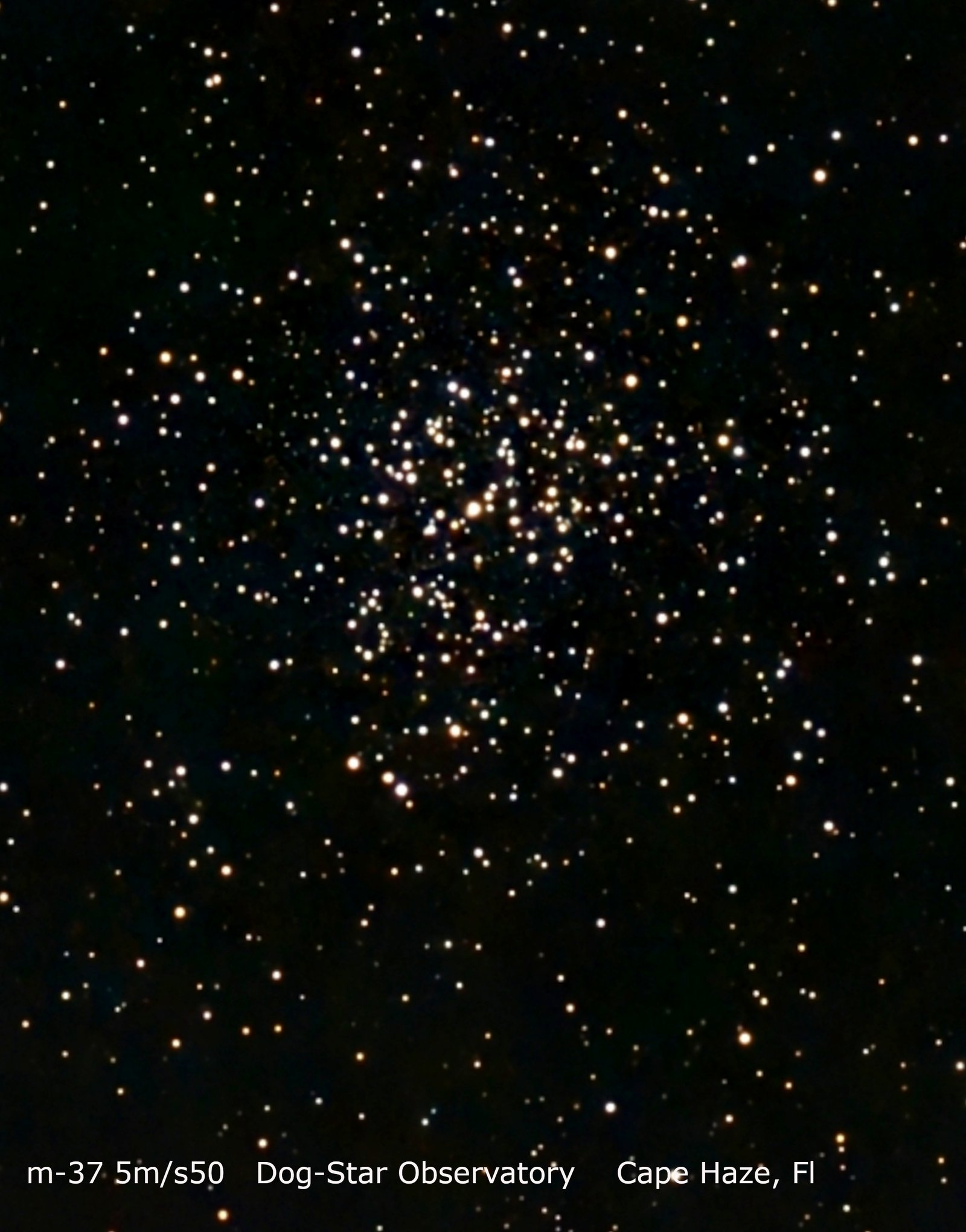 Messier 37 (M37) — Open Cluster in Auriga original photograph