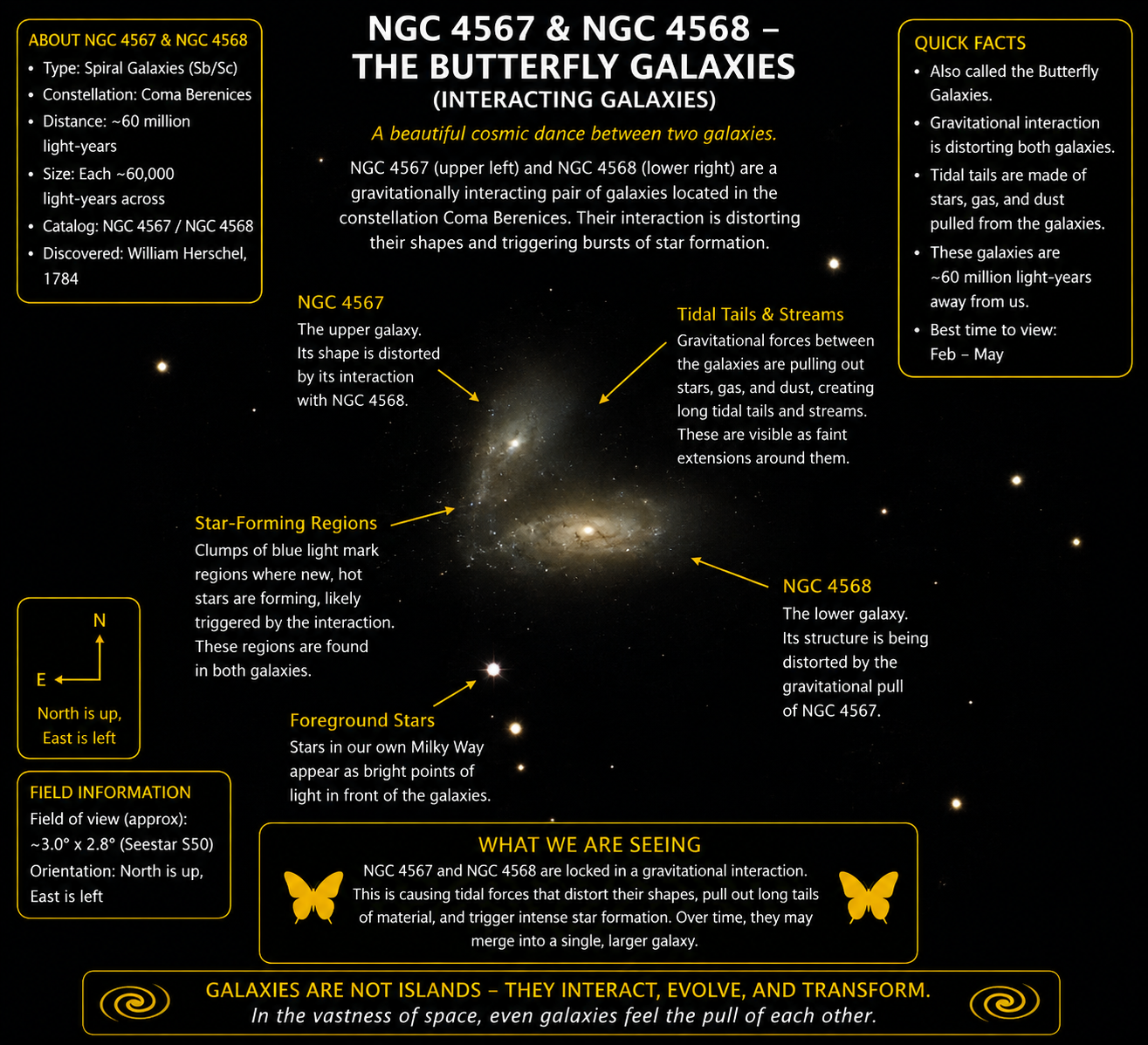 NGC 4567 and NGC 4568 — Butterfly Galaxies annotated photograph
