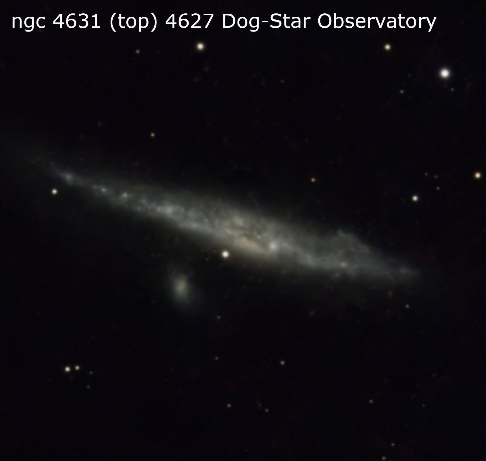 NGC 4631 & NGC 4627 — Whale Galaxy and Companion original photograph