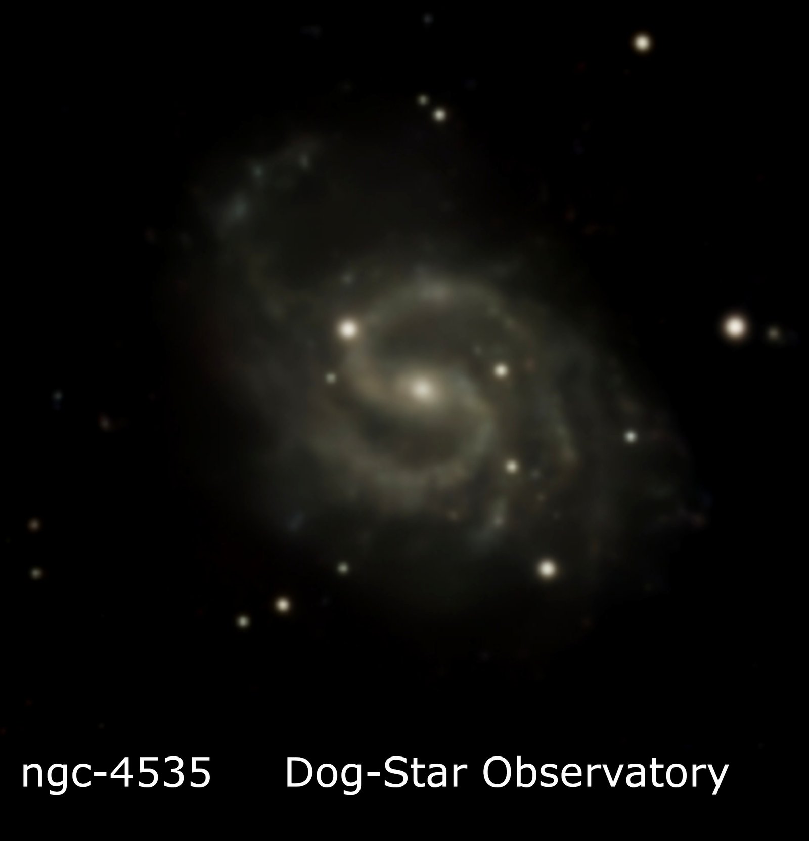 NGC 4535 — Spiral Galaxy in Virgo original photograph