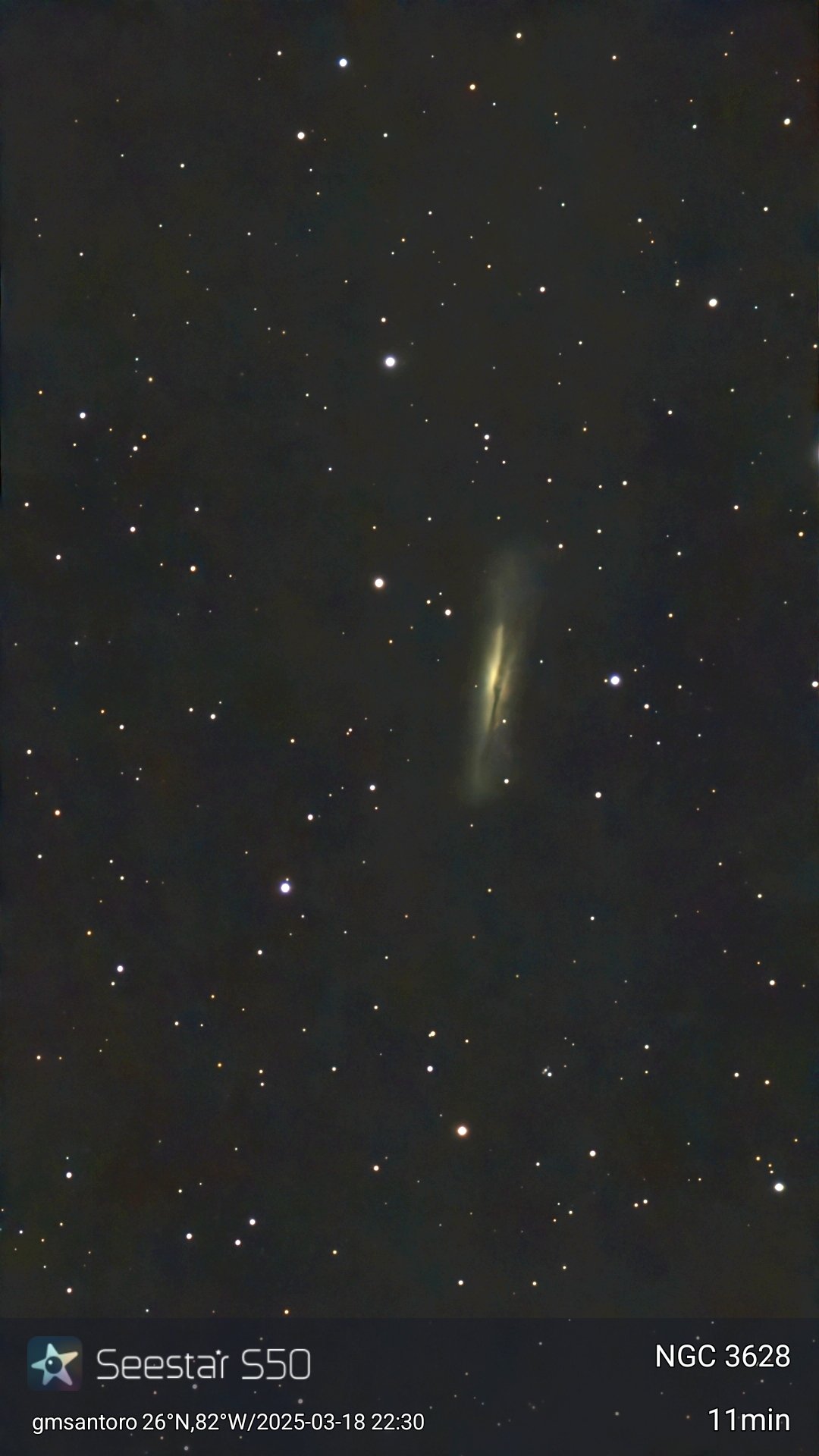 NGC 3628 — Hamburger Galaxy original photograph