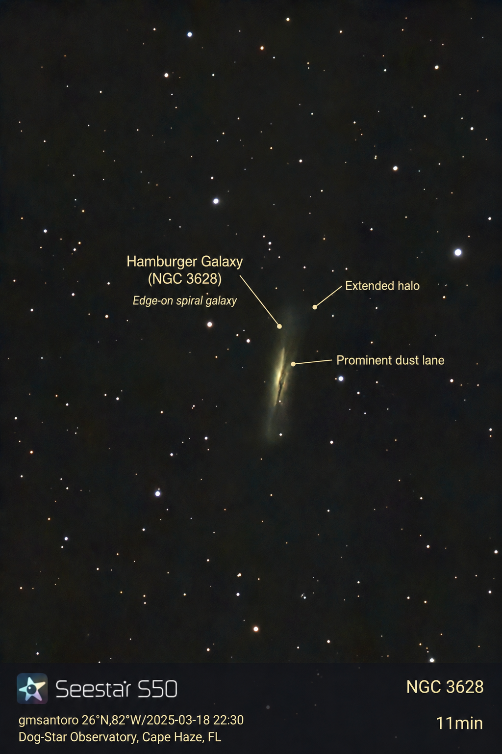 NGC 3628 — Hamburger Galaxy annotated photograph