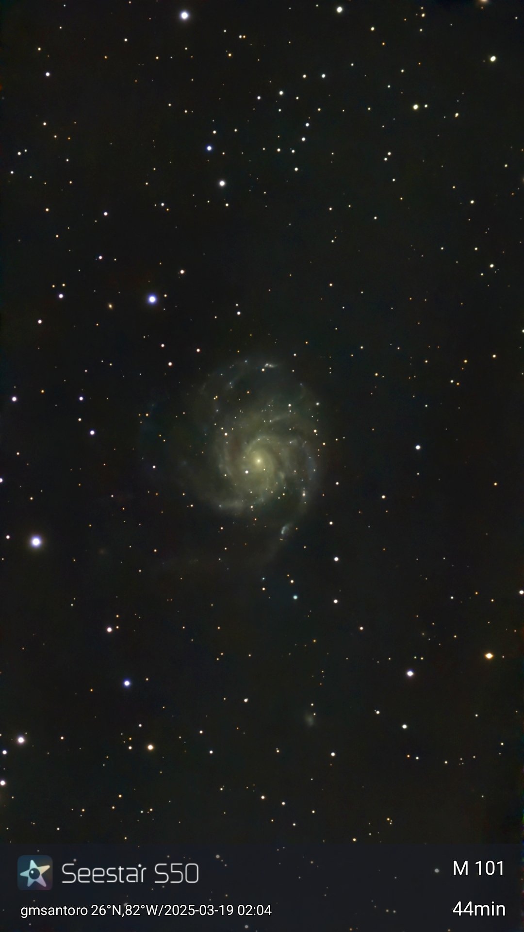 Messier 101 (M101) — Pinwheel Galaxy original photograph