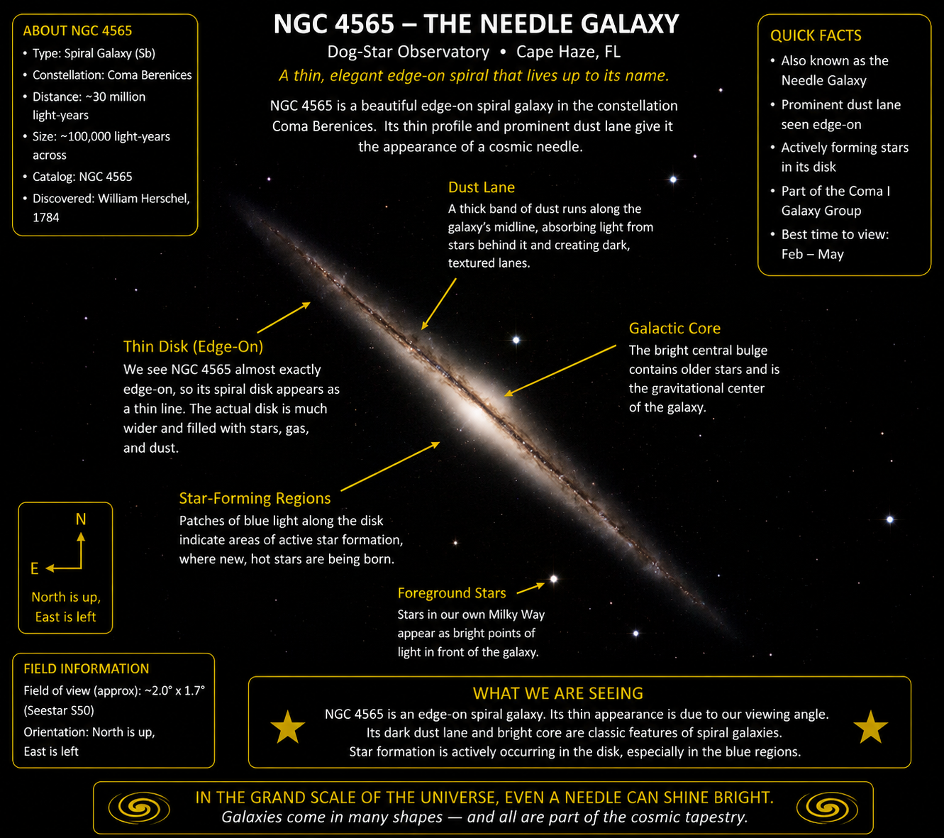 NGC 4565 — Needle Galaxy annotated photograph